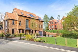 Leithfield Park, David Wilson Homes