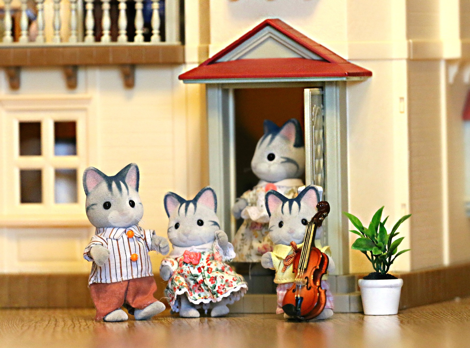 New data busts myth of ‘rabbit hutch’ new homes - Show House