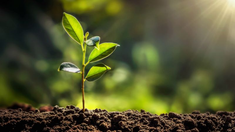 Showhouse has launched a ground-breaking initiative to help companies in the housebuilding and property industries become certified B Corps.